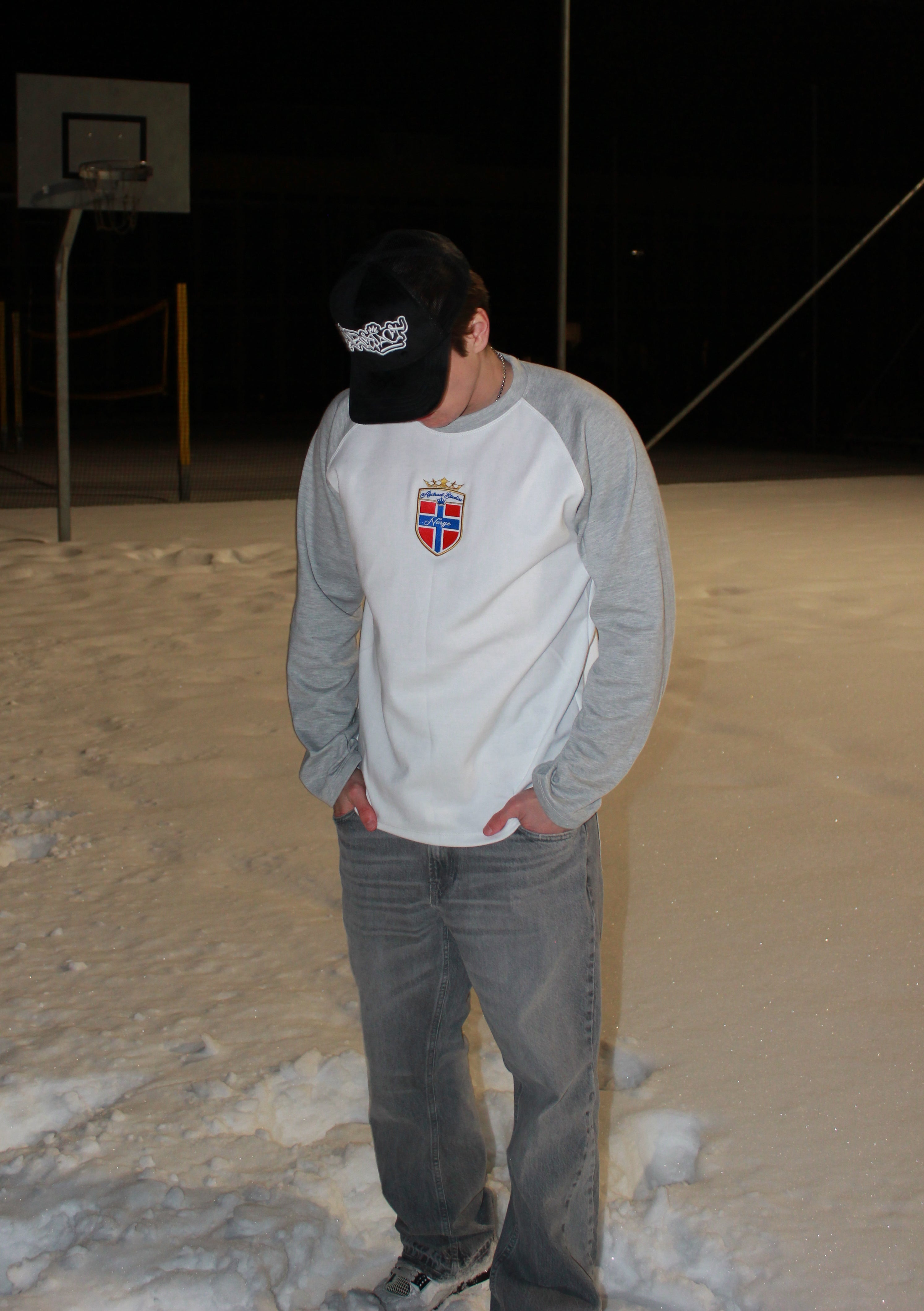 Abstract - Norway Longsleeve "Grey"